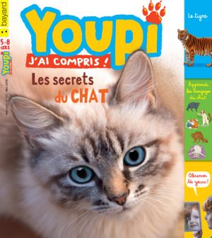 Couverture du magazine Youpi, j'ai compris ! n°332, mai 2016