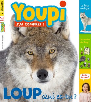 Couverture du magazine Youpi, j'ai compris ! n°341, février 2017