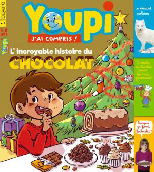 Couverture du magazine Youpi, j'ai compris ! n°351, décembre 2017