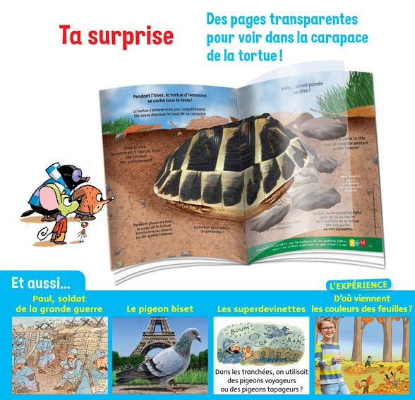 Des pages transparentes pour voir dans la carapace de la tortue !