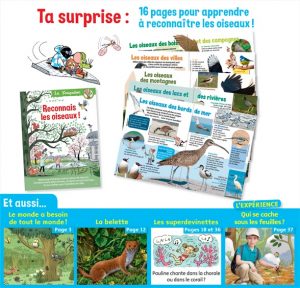 Youpi, mai 2019 - Youpidoc, 16 pages pour apprendre à reconnaître les oiseaux!