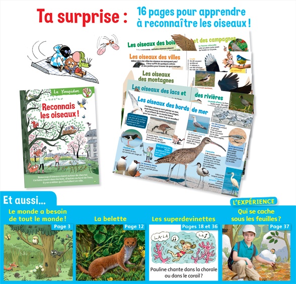 Youpi, mai 2019 - Youpidoc, 16 pages pour apprendre à reconnaître les oiseaux!