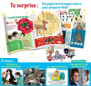 Sommaire du magazine Youpi, j'ai compris ! n°375, décembre 2019 - Alice, vétérinaire - 10 pages de bricolages nature pour préparer Noël