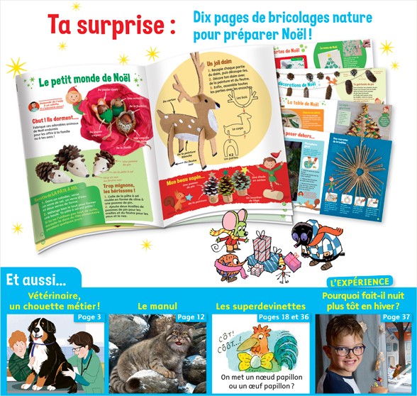 Sommaire du magazine Youpi, j'ai compris ! n°375, décembre 2019 - Alice, vétérinaire - 10 pages de bricolages nature pour préparer Noël