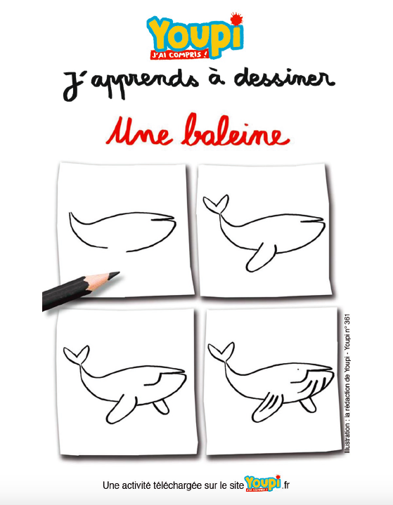 Dessiner les animaux