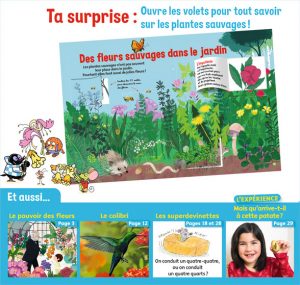 Ta surprise : Ouvre les volets pour tout savoir sur les plantes sauvages - Youpi, j'ai compris ! n°380, mai 2020