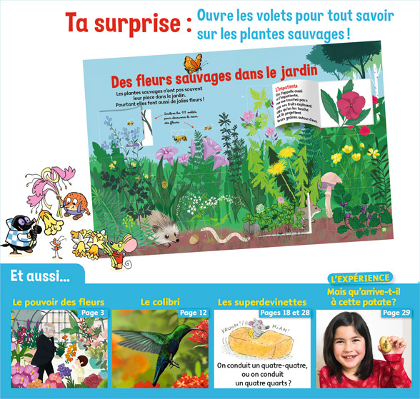 Ta surprise : Ouvre les volets pour tout savoir sur les plantes sauvages - Youpi, j'ai compris ! n°380, mai 2020