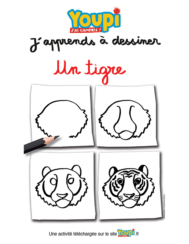 “J'apprends à dessiner un tigre”, Youpi n°383, août 2020. Illustration : Carole Gauthier.