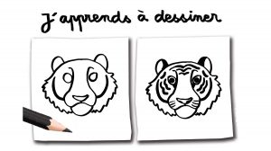 “J'apprends à dessiner un tigre”, Youpi n°383, août 2020. Illustration : Carole Gauthier.