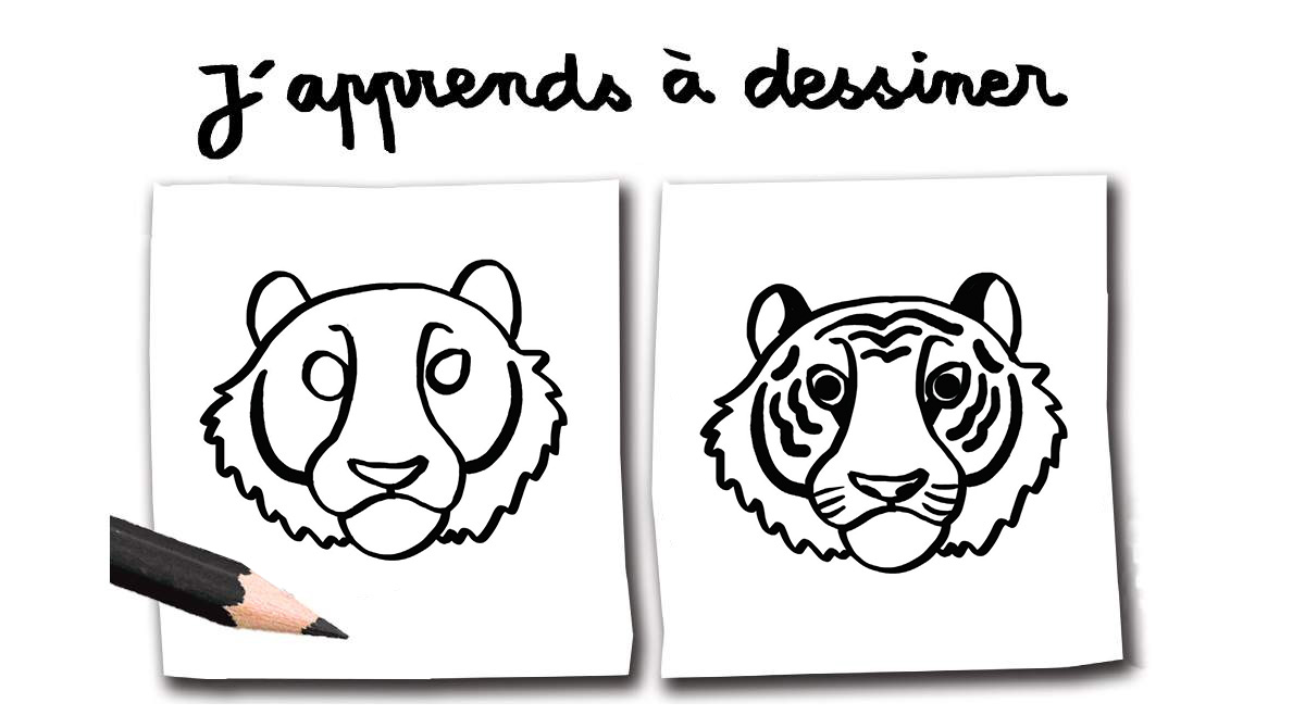 Dessin tigre 3 FACILE - Comment dessiner un tigre FACILEMENT etape