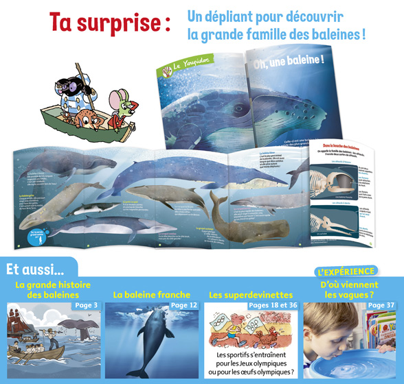 Youpi, j'ai compris ! n°394, juillet 2021 - La baleine - La géante des océans - Dépliant pour découvrir la grande famille des baleines