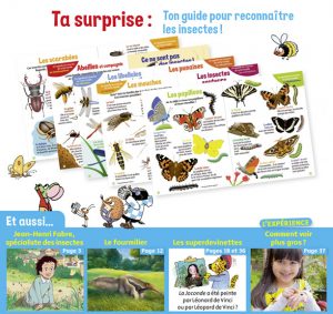 Youpi, j'ai compris ! n°395, août 2021 - Nos amis les insectes - Guide pour reconnaître les insectes !