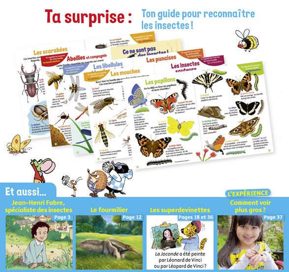 Youpi, j'ai compris ! n°395, août 2021 - Nos amis les insectes - Guide pour reconnaître les insectes !
