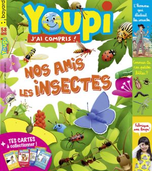 Youpi, j'ai compris ! n°395, août 2021 - Nos amis les insectes