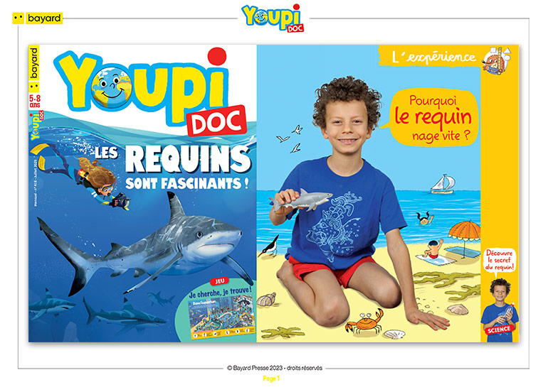 Pourquoi le requin nage vite ? Youpi n°418, juillet 2023. © Photo : Rebecca Josset. Illustration : Rémi Saillard.