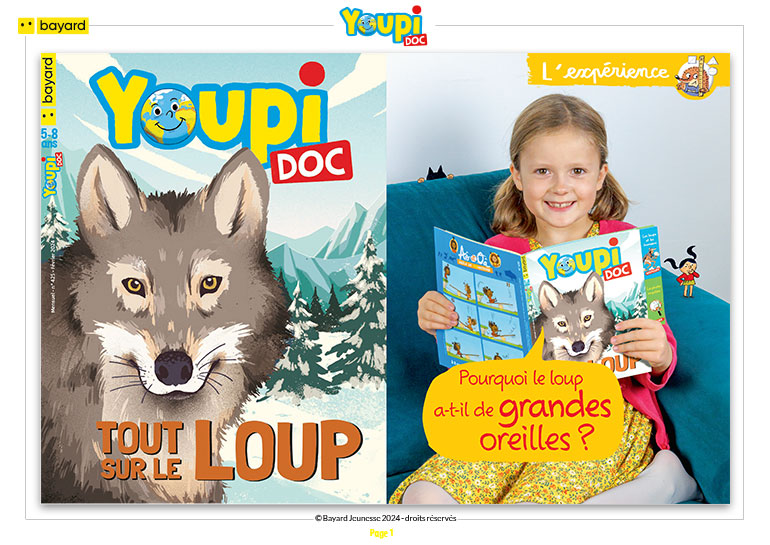 Expérience scientifique : Pourquoi le loup a-t-il de grandes oreilles ? Youpi n°425, février 2024. © Photo : Rebecca Josset. Illustrations : Rémi Saillard.