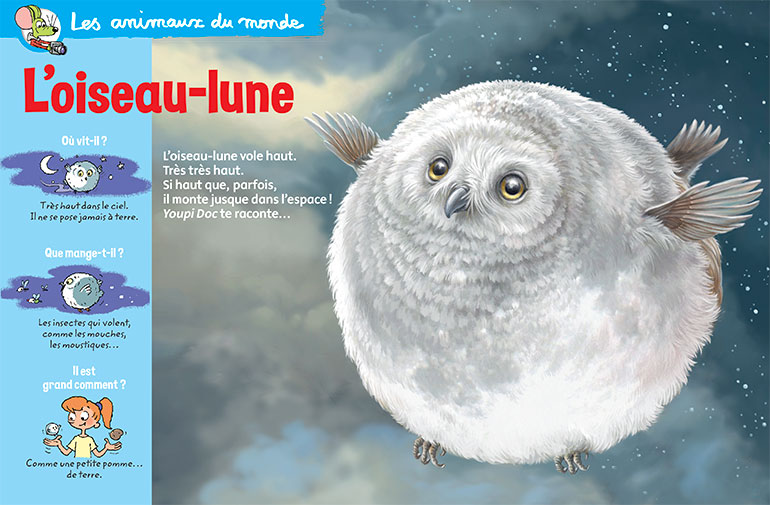 L’oiseau-lune, Youpi Doc n°427, avril 2024. Illustration : Caroline Picard.